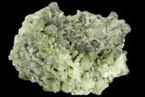 Green Prehnite Crystal Cluster - Morocco #108725-1